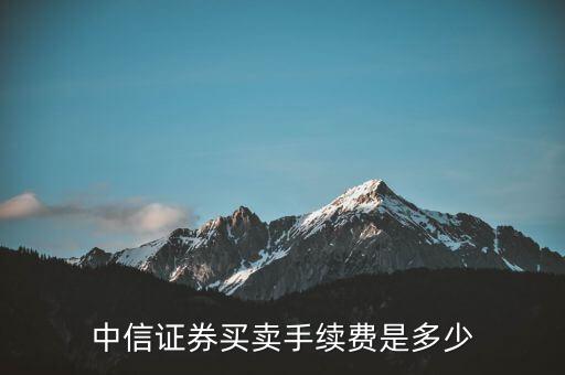 中信證券買賣手續(xù)費(fèi)是多少