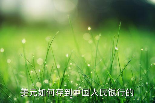 美元如何存到中國(guó)人民銀行的
