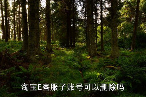 我刪除e賬戶會怎么樣，淘寶E客服子賬號可以刪除嗎