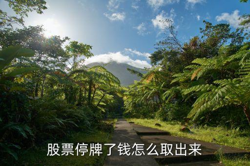 股票停牌怎么才能變現(xiàn)，股票停牌了資金怎么拿出來(lái)
