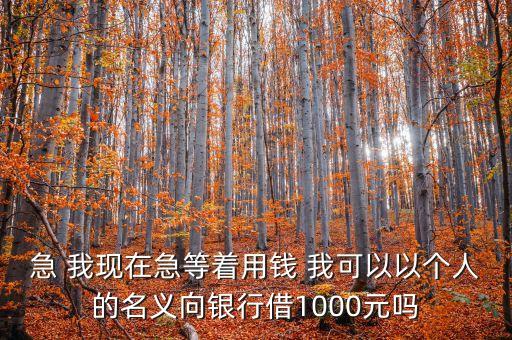 個人名義怎么貸款，急 我現(xiàn)在急等著用錢 我可以以個人的名義向銀行借1000元嗎
