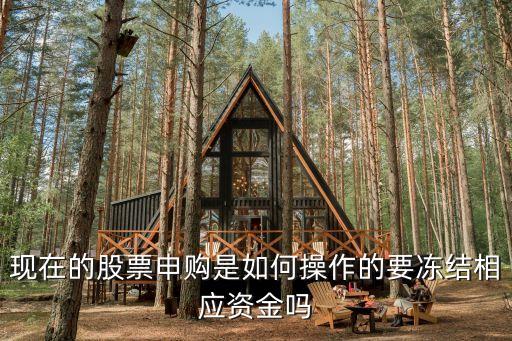 現(xiàn)在的股票申購(gòu)是如何操作的要凍結(jié)相應(yīng)資金嗎