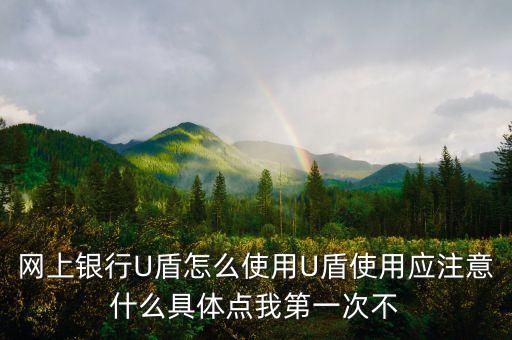 北京銀行u盾怎么使用，網(wǎng)上銀行U盾怎么使用U盾使用應(yīng)注意什么具體點(diǎn)我第一次不
