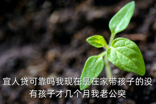 有人用宜人貸嗎 怎么樣，宜人貸可靠嗎我現(xiàn)在是在家?guī)Ш⒆拥臎]有孩子才幾個月我老公突