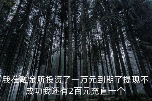 我在融金所投資了一萬(wàn)元到期了提現(xiàn)不成功我還有2百元充直一個(gè)