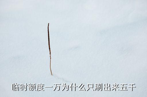 臨時額度一萬為什么只刷出來五千