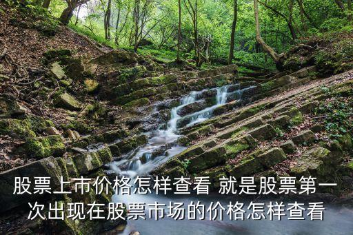 股票上市價(jià)格怎樣查看 就是股票第一次出現(xiàn)在股票市場(chǎng)的價(jià)格怎樣查看