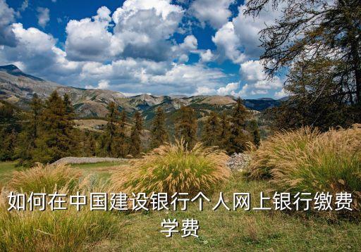 如何在中國建設(shè)銀行個人網(wǎng)上銀行繳費學(xué)費