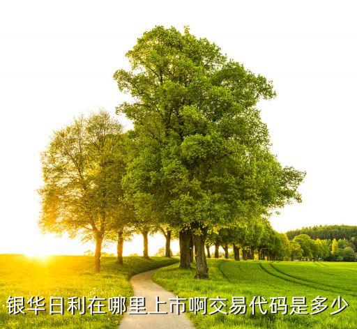 銀華日利怎么投資，銀華日利在哪里上市啊交易代碼是多少