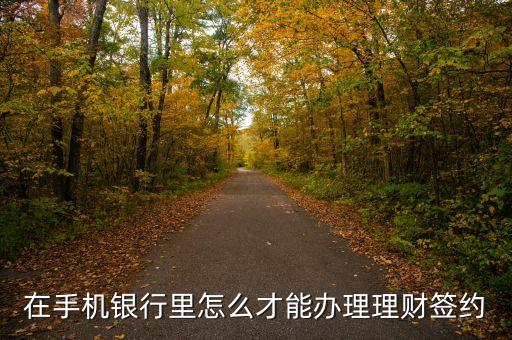 在手機銀行里怎么才能辦理理財簽約