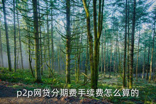 p2p網(wǎng)貸分期費(fèi)手續(xù)費(fèi)怎么算的