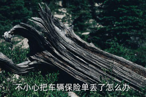 汽車保險(xiǎn)丟失了怎么辦，汽車保險(xiǎn)單遺失了怎么辦