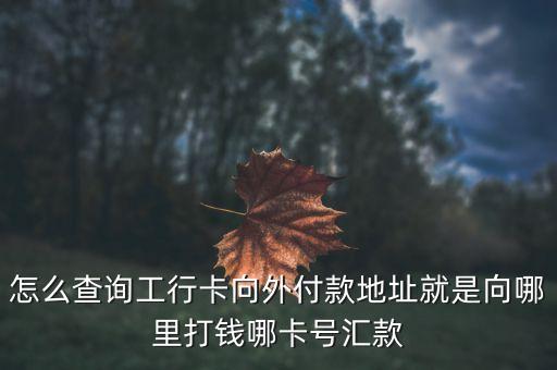 怎么知道工行賬單地址，怎么查詢工行卡向外付款地址就是向哪里打錢哪卡號匯款
