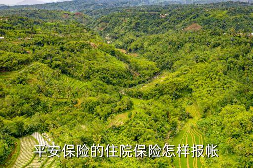 平安住院保險(xiǎn)怎么報(bào)銷(xiāo)比例，買(mǎi)了平安住院險(xiǎn)生病住院賠付比率是多少