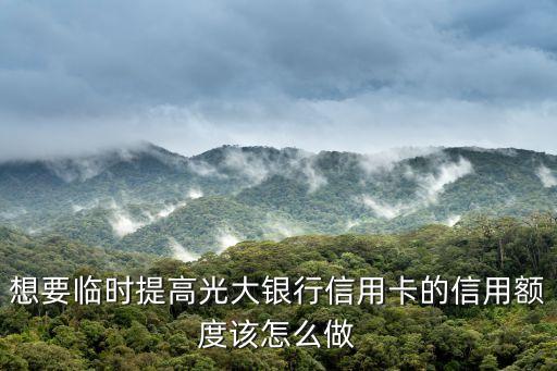 想要臨時(shí)提高光大銀行信用卡的信用額度該怎么做