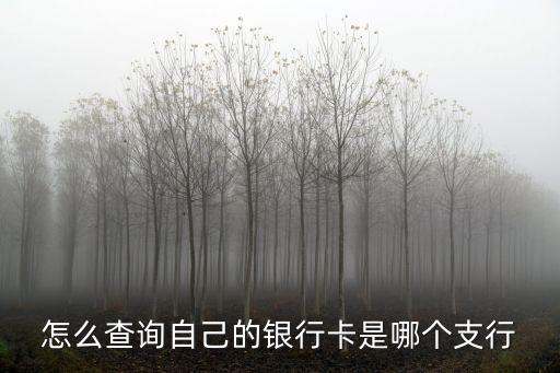 怎么查詢自己的銀行卡是哪個(gè)支行