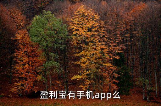 盈利寶有手機app么