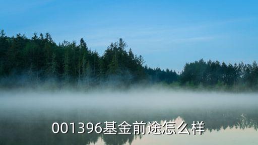 001396基金前途怎么樣