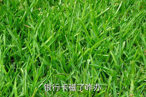 銀行卡是磁條的怎么辦，銀行卡的磁怎樣才會(huì)消掉