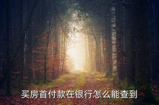 買房首付款在銀行怎么能查到