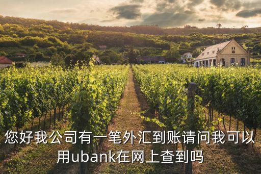 郵政銀行怎么查外匯，朋友從國(guó)外匯錢(qián)不知道到哪了郵政儲(chǔ)蓄