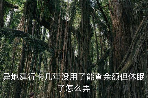 異地建行卡幾年沒用了能查余額但休眠了怎么弄