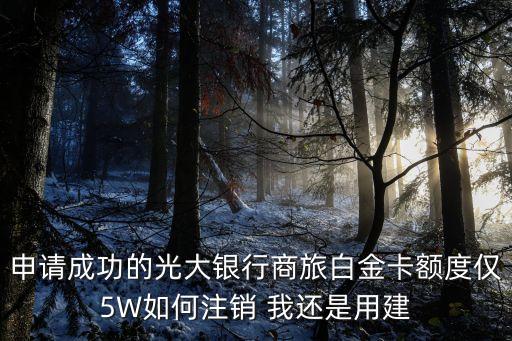 光大商旅白封頂了怎么辦，申請成功的光大銀行商旅白金卡額度僅5W如何注銷 我還是用建