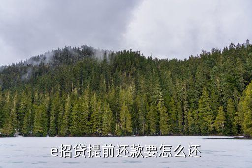 e招貸提前還款要怎么還