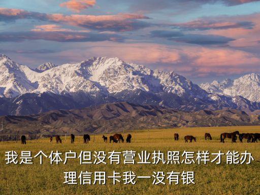 在沒有營業(yè)執(zhí)照怎么辦理信用卡，我是個體戶但沒有營業(yè)執(zhí)照怎樣才能辦理信用卡我一沒有銀