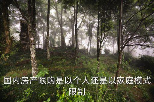 國(guó)內(nèi)房產(chǎn)限購(gòu)是以個(gè)人還是以家庭模式限制