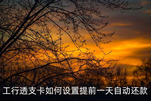 工行怎么設(shè)置自動(dòng)還款，工行信用卡怎么設(shè)置自動(dòng)還款