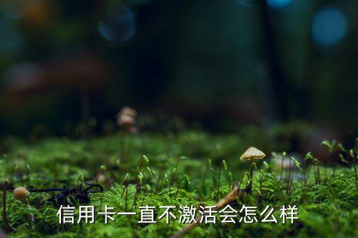 收到信用卡不激活會(huì)怎么樣的，辦理了信用卡然后不激活不用會(huì)有什么影響不
