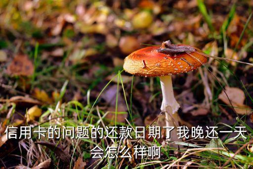 信用卡的問題的還款日期了我晚還一天會怎么樣啊