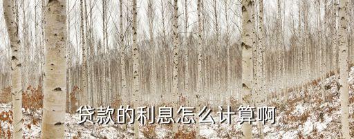 貸款了利率怎么算，貸款的利息怎么計(jì)算啊