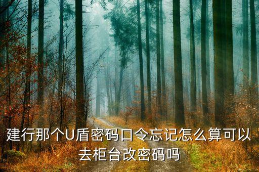 u盾密碼忘記了怎么修改密碼，如何修改U盾密碼