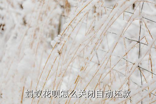 怎么關(guān)掉花唄自動(dòng)還款，螞蟻花唄自動(dòng)還款怎么關(guān)閉嗎