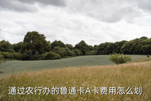 農(nóng)行魯通卡怎么還費，通過農(nóng)行辦的魯通卡A卡費用怎么劃