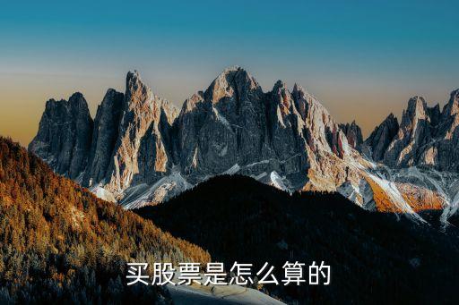炒股怎么計算，買股票是怎么算的