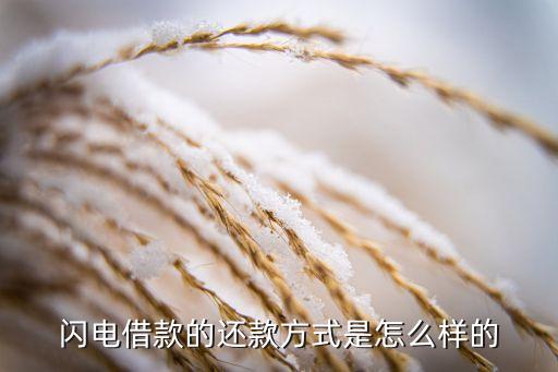借閃電借款怎么還款，我在唱吧里面的閃電借款現(xiàn)在還款不知道怎么還