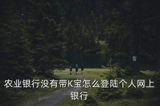 農(nóng)業(yè)銀行沒有帶K寶怎么登陸個(gè)人網(wǎng)上銀行