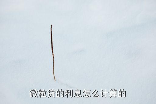微粒貸的利息怎么計(jì)算的