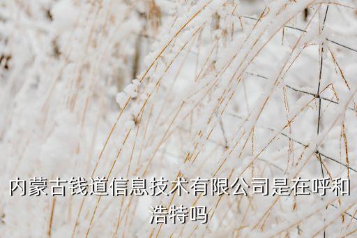 內(nèi)蒙古錢道信息技術(shù)有限公司是在呼和浩特嗎