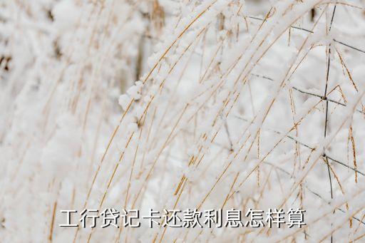 工行貸記卡利息怎么算，工商銀行牡丹貸記卡利息還貸是怎么算的