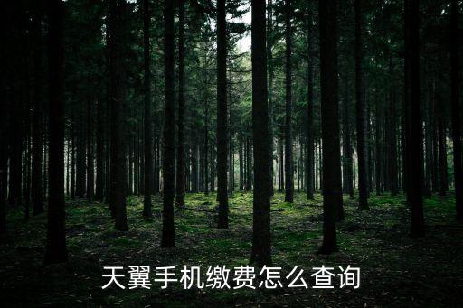 用手機(jī)怎么查繳費記錄嗎，聯(lián)通手機(jī)營業(yè)廳APP可以查詢交費記錄嗎