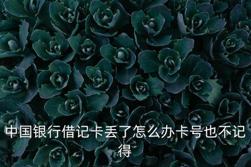 中國銀行借記卡丟了怎么辦卡號也不記得