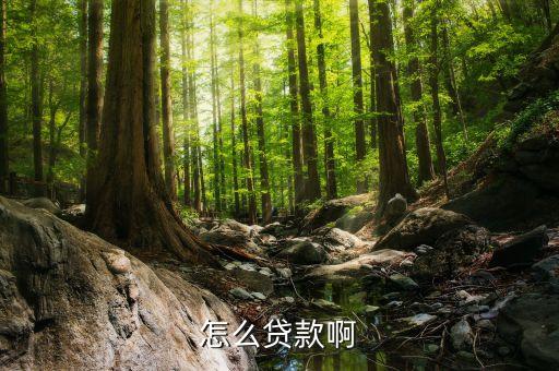 怎么貸款啊