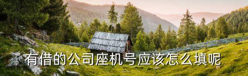 貸款公司電話怎么寫，貸款公司的電話是多少