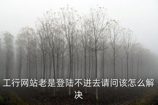 工行網(wǎng)站老是登陸不進去請問該怎么解決
