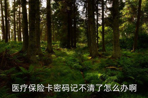 北京醫(yī)?？艽a忘記了怎么辦，醫(yī)療保險卡密碼記不清了怎么辦啊
