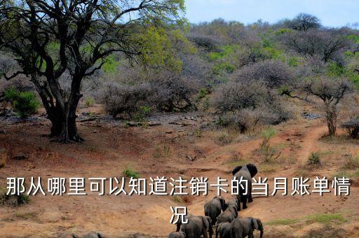 刪除信用卡賬單記錄怎么查詢嗎，把交易記錄都刪除了我能通過銀行查詢到嗎